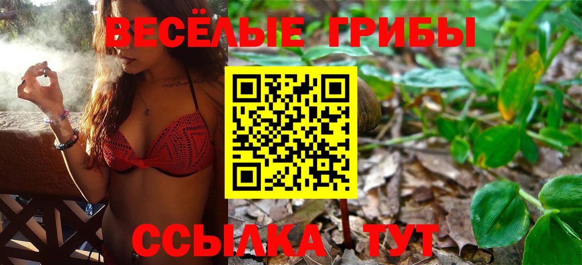 Псилоцибиновые грибы GOLDEN TEACHER Богородицк