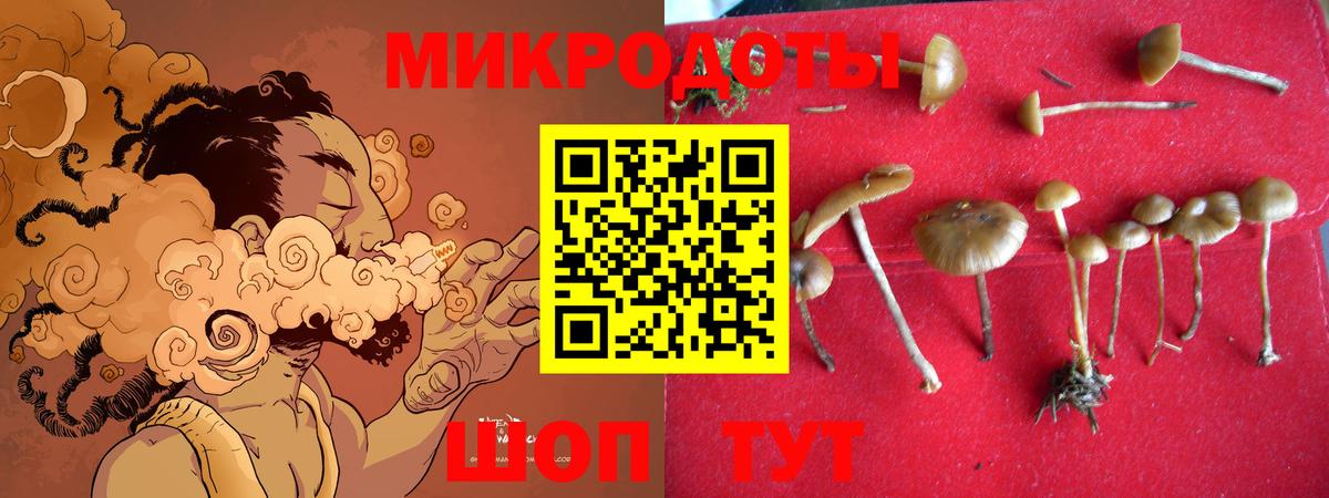 Богородицк  Галлюциногенные грибы Cubensis  дарнет шоп  Вход с VPN 